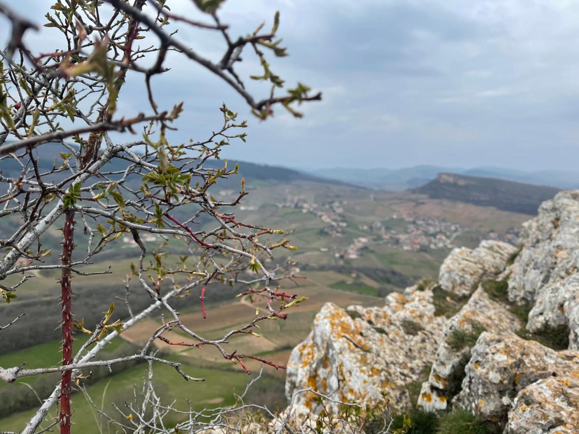 La Tablee Medievale Civrieux-dʼAzergues Exterior foto